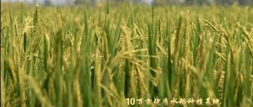 Mգĸ_40l(xing)l(f)չ