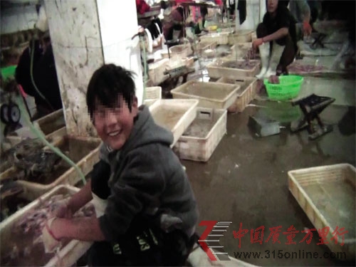 ͯF(xin)K^I(y) ڄӾַQφ}