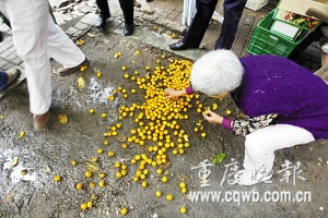重慶市場發(fā)現(xiàn)蛆蟲柑橘多產(chǎn)自廣西(圖)