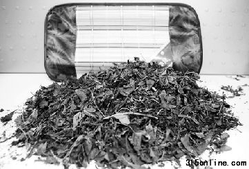 這是記者從超市買來(lái)的茶葉枕內(nèi)芯。 李翔 攝 這是記者從超市買來(lái)的茶葉枕內(nèi)芯。 李翔 攝