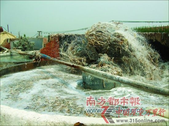 翻轉的洗皮機正在池中刷洗皮料。 翻轉的洗皮機正在池中刷洗皮料。