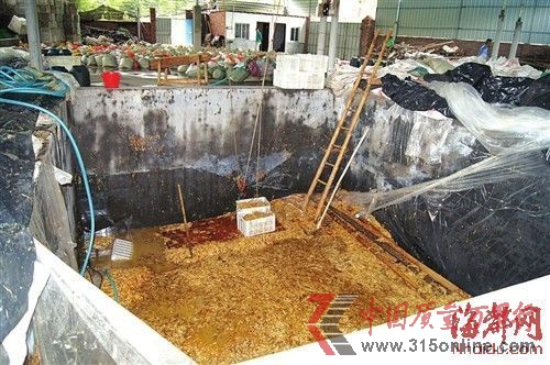 在這個(gè)數(shù)十平方米的大池子里,黑心商家用工業(yè)檸檬酸泡出了35噸金針菇 在這個(gè)數(shù)十平方米的大池子里,黑心商家用工業(yè)檸檬酸泡出了35噸金針菇