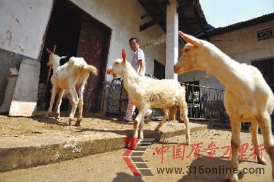 729LɳhS患f5ֻl±ӛ ﳬ z