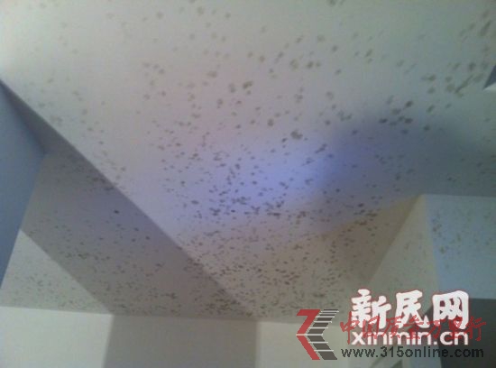 綠地薔薇四季的多套別墅出現(xiàn)滲水，天花板發(fā)霉。新民網(wǎng)記者胡彥珣 現(xiàn)場(chǎng)回傳  