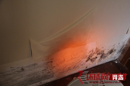 青島萬(wàn)科城墻壁發(fā)霉 青島萬(wàn)科城墻壁發(fā)霉