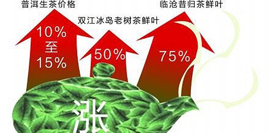 財經觀察：誰是普洱茶暴漲的推手？